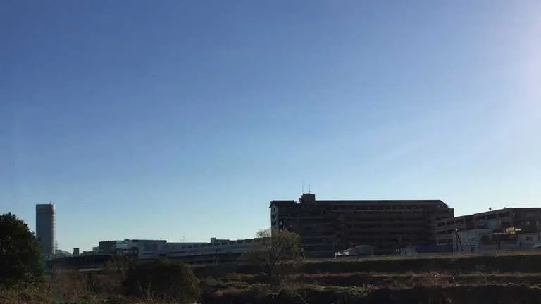 冬枯れした鶴見川