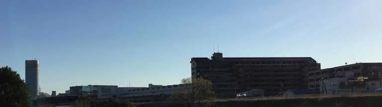 父とサイクリング