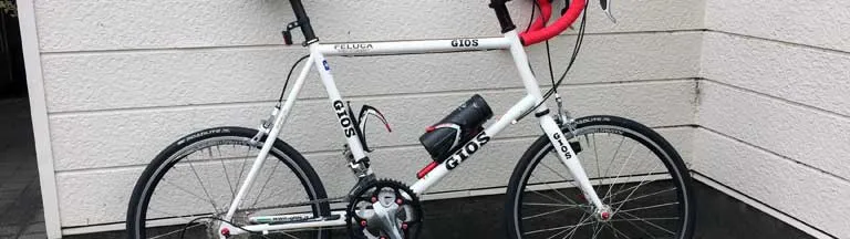 GIOS FELUCA を10速カスタムする