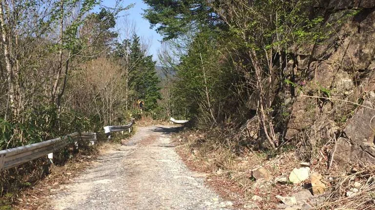 ガレってほどはガレてない