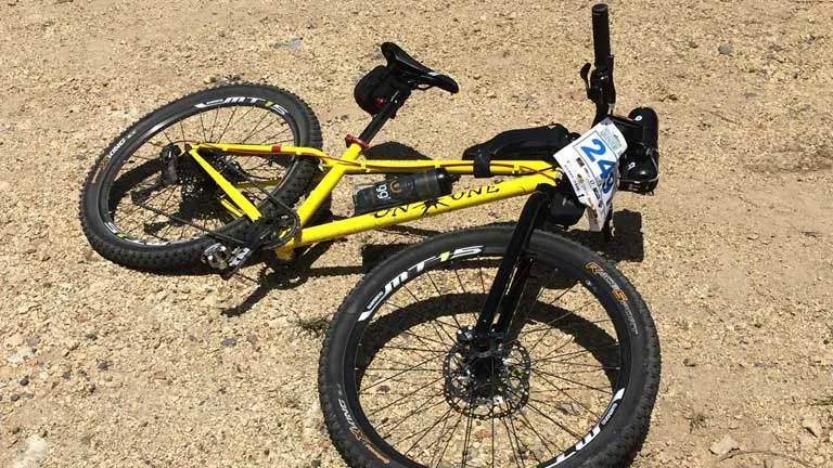 ヤムチャになったマウンテンバイク