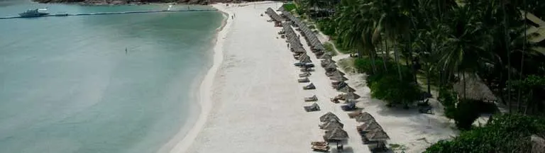 レダン島に旅行 素潜りがこんなに面白いとは思わなかったよ